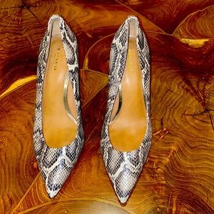 Coach Snakeskin Print Leather Pumps